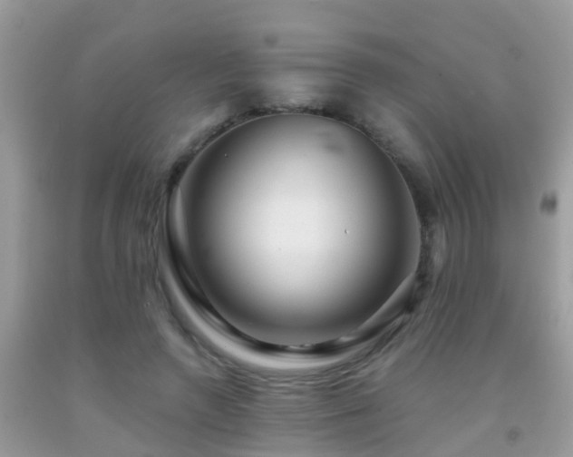 X0000091930546200709051503