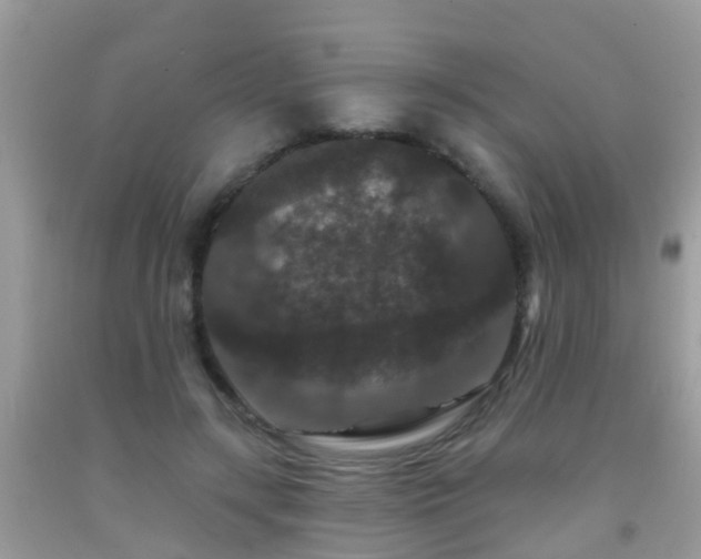 X0000091930547200709051503