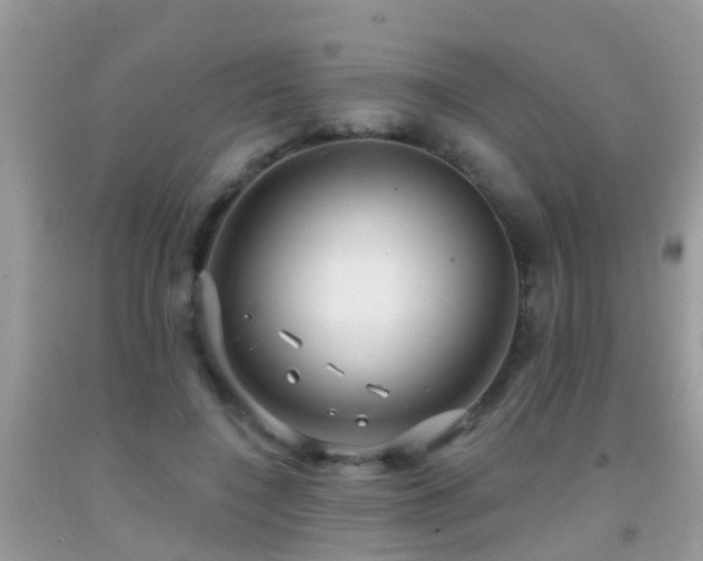 X0000091930548200709051503