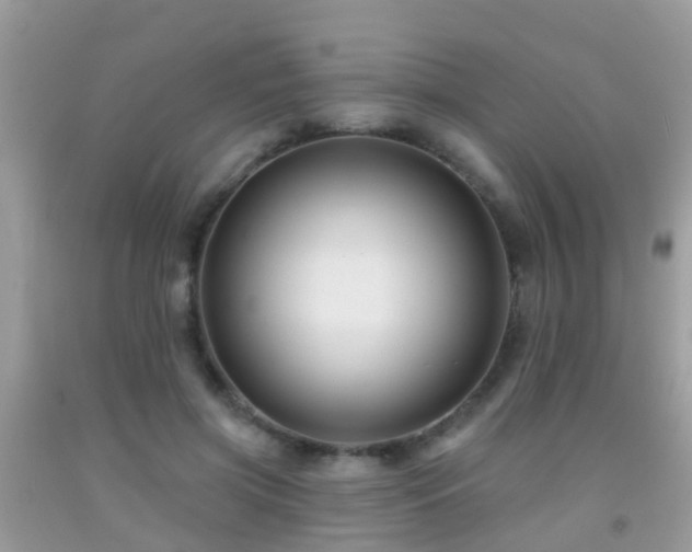 X0000091930549200709051503