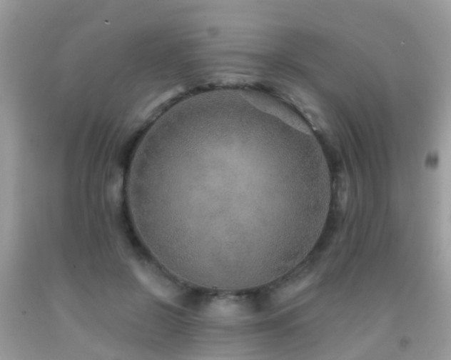 X0000091930550200709051503