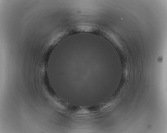 X0000091930551200709051503