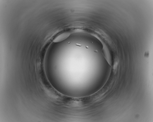X0000091930552200709051503