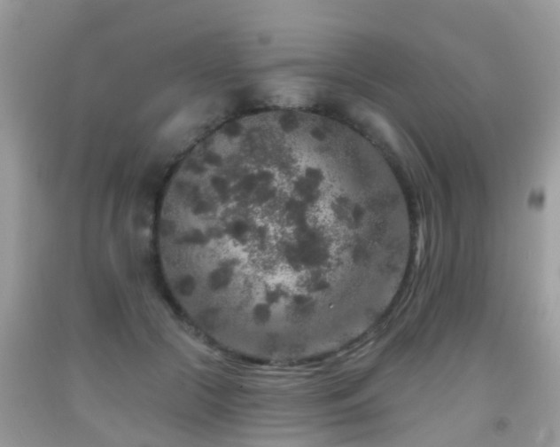X0000091930553200709051503
