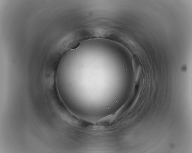 X0000091930554200709051503
