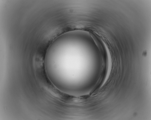 X0000091930555200709051503