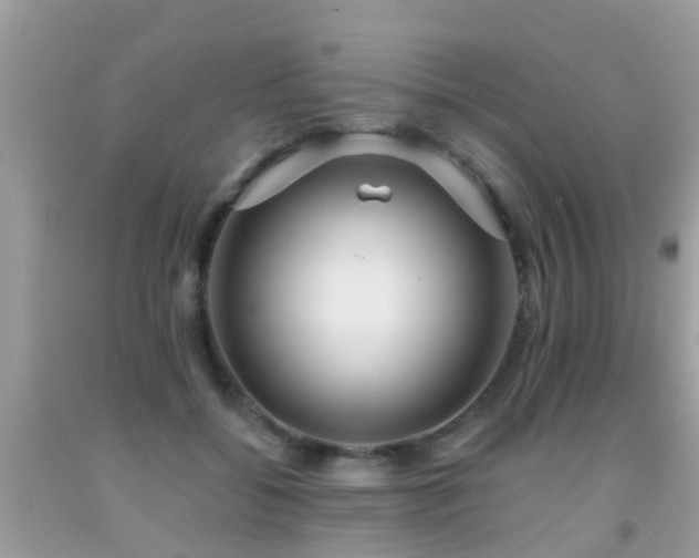X0000091930556200709051503