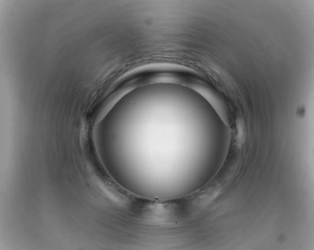 X0000091930558200709051504