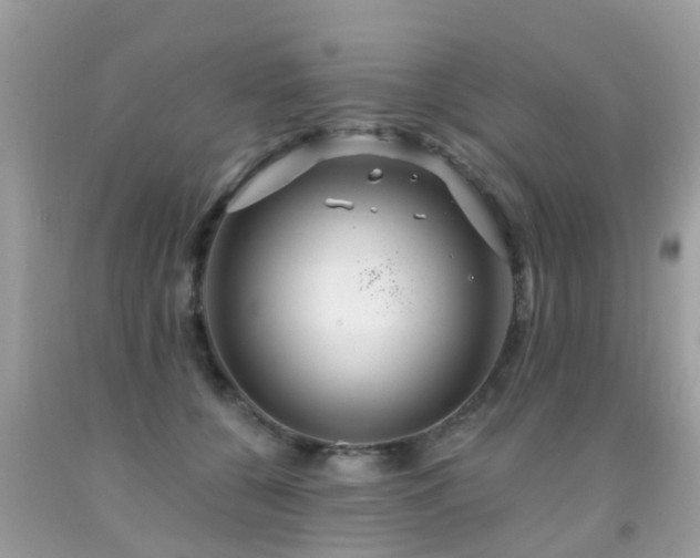 X0000091930560200709051504