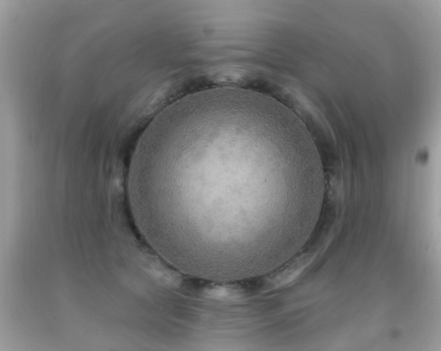 X0000091930561200709051504