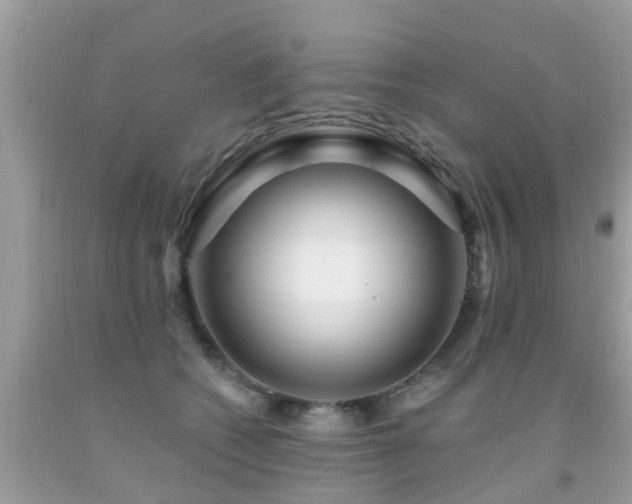 X0000091930562200709051504