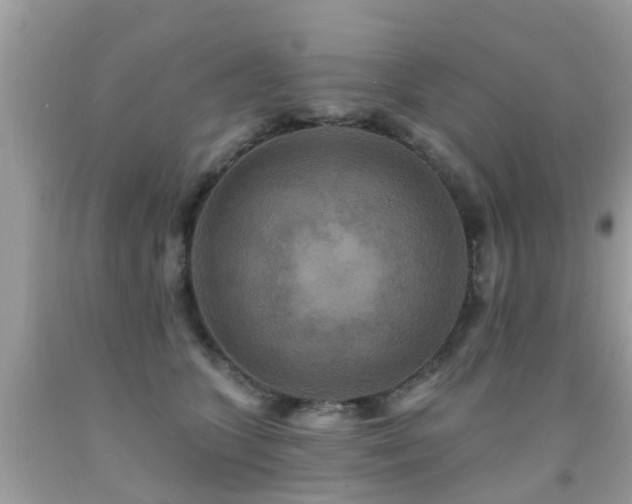 X0000091930563200709051504