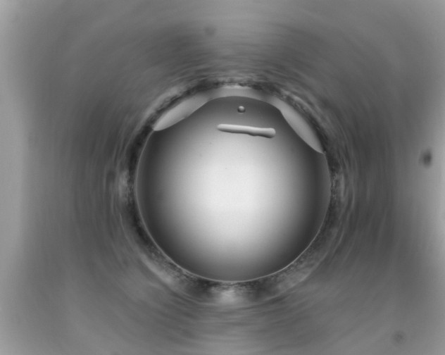 X0000091930564200709051504