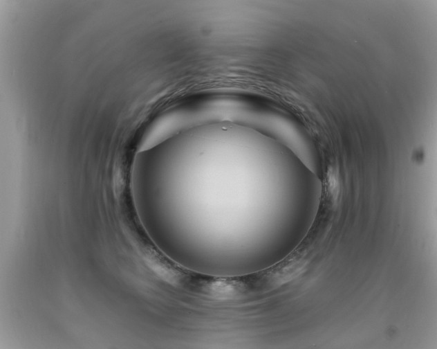 X0000091930566200709051504