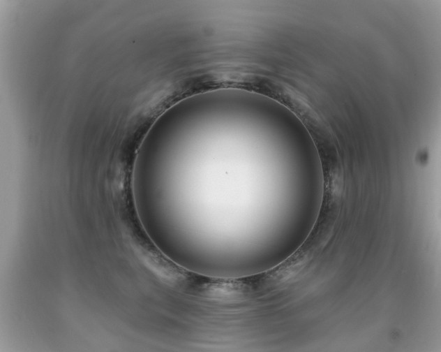 X0000091930567200709051504