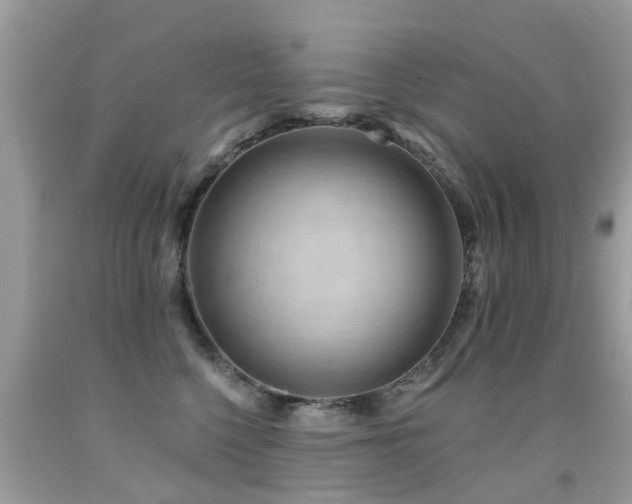 X0000091930568200709051504