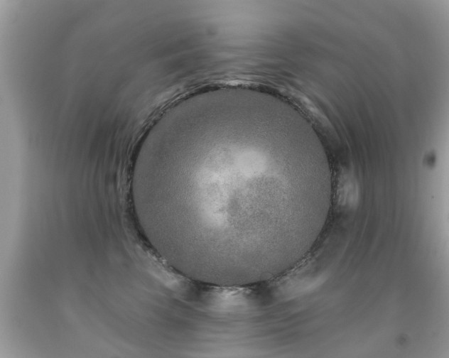 X0000091930569200709051504