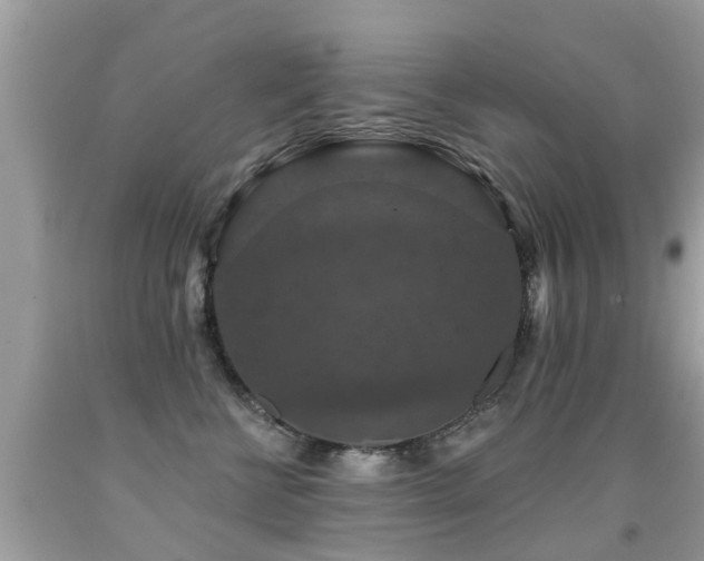 X0000091930570200709051504