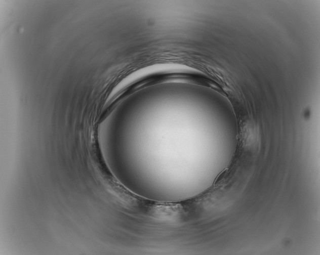 X0000091930571200709051504
