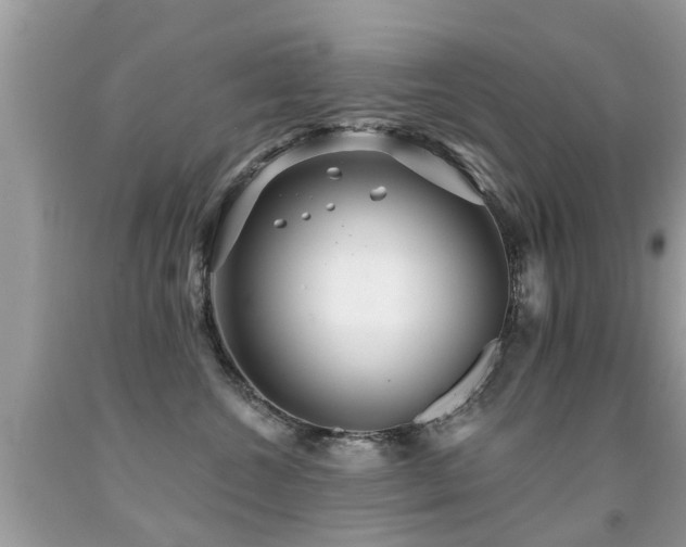 X0000091930572200709051504