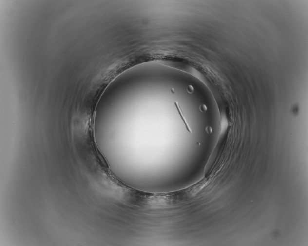 X0000091930574200709051504
