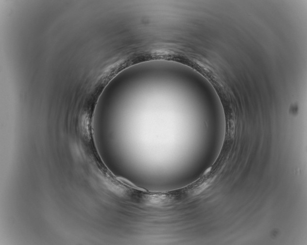 X0000091930575200709051504