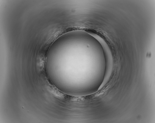 X0000091930576200709051504