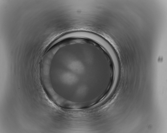 X0000091930577200709051503