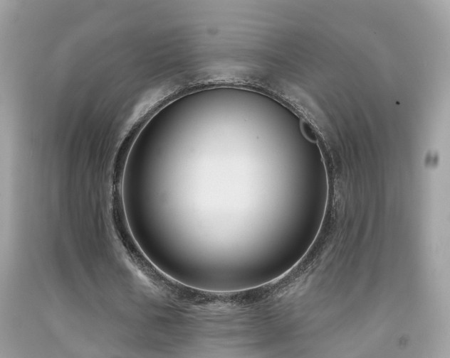 X0000091930578200709051503