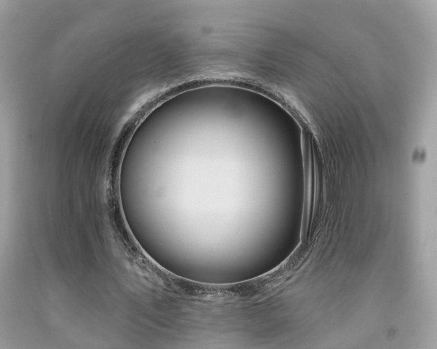 X0000091930579200709051503