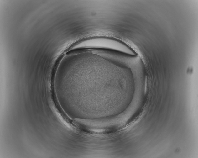X0000091930581200709051503