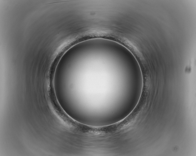 X0000091930582200709051503