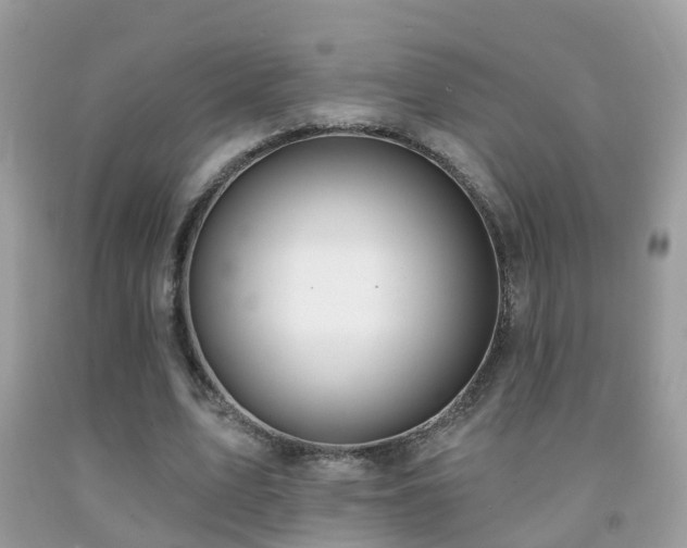 X0000091930583200709051503