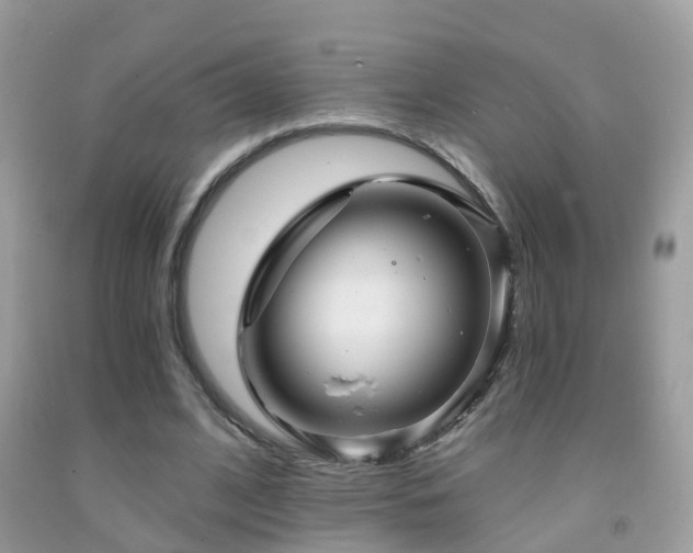 X0000091930584200709051503