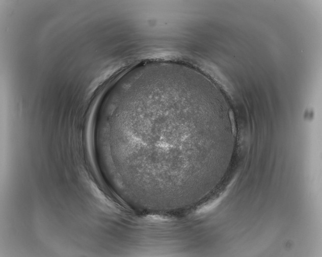 X0000091930585200709051503