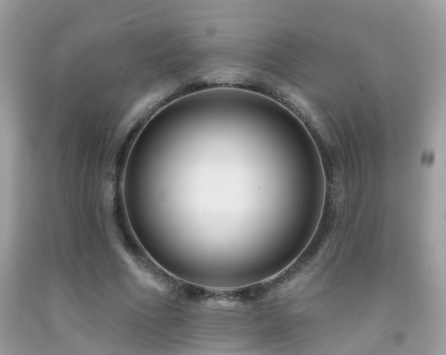 X0000091930586200709051503