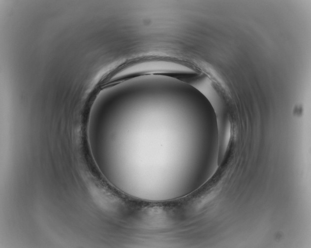 X0000091930588200709051503