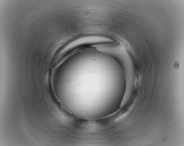 X0000091930589200709051503