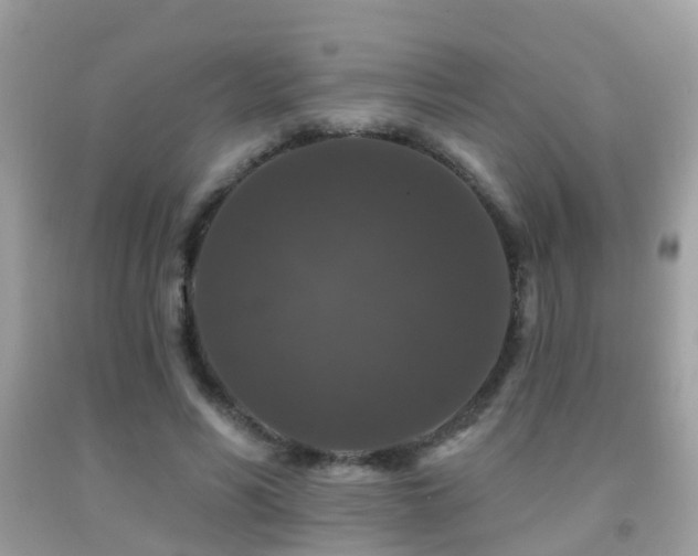 X0000091930590200709051503