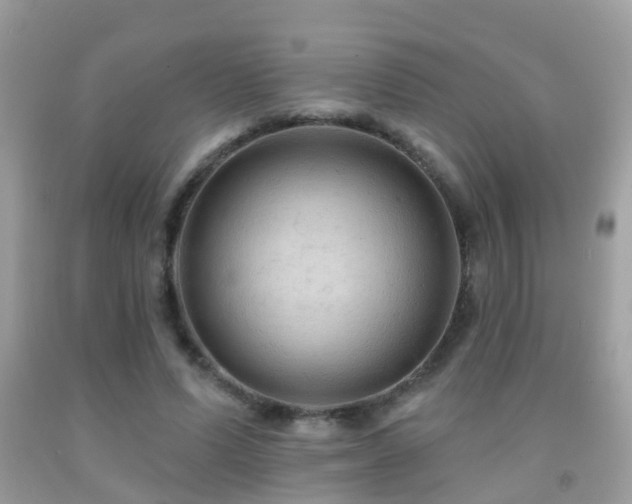 X0000091930591200709051503