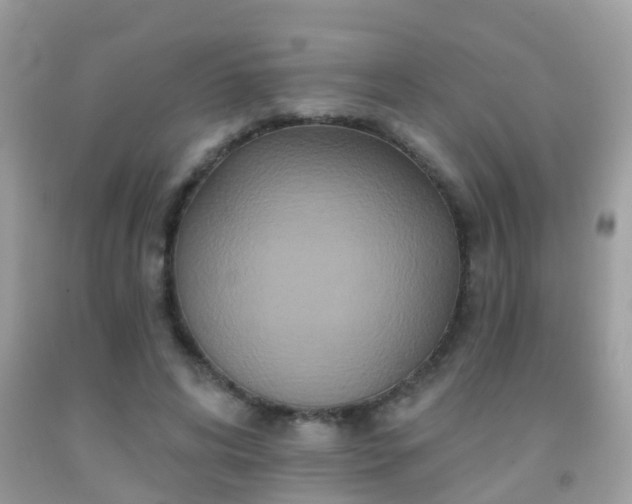 X0000091930592200709051503