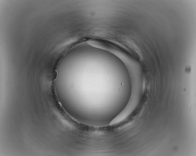 X0000091930593200709051503