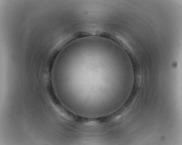 X0000091930594200709051503
