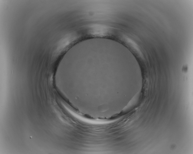 X0000091930596200709051503