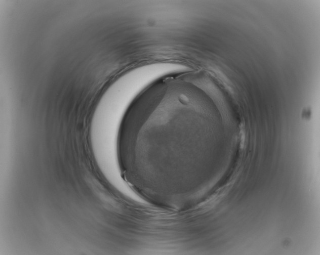 X0000091930597200709051503