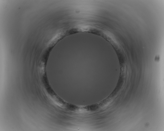 X0000091930598200709051503