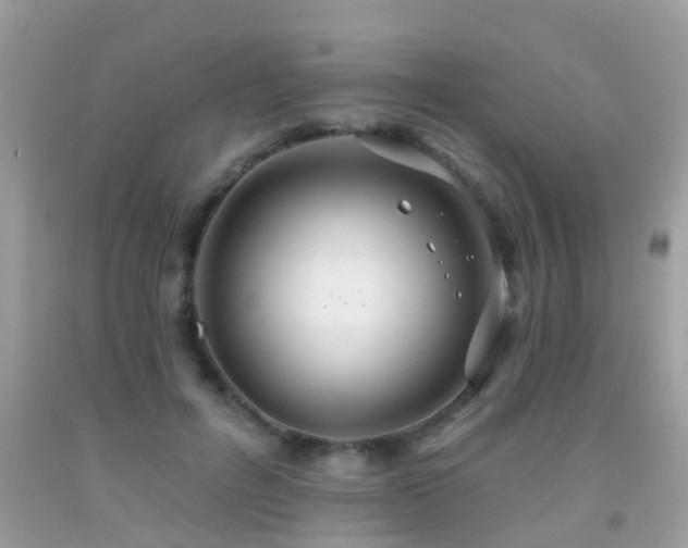 X0000091930600200709051503
