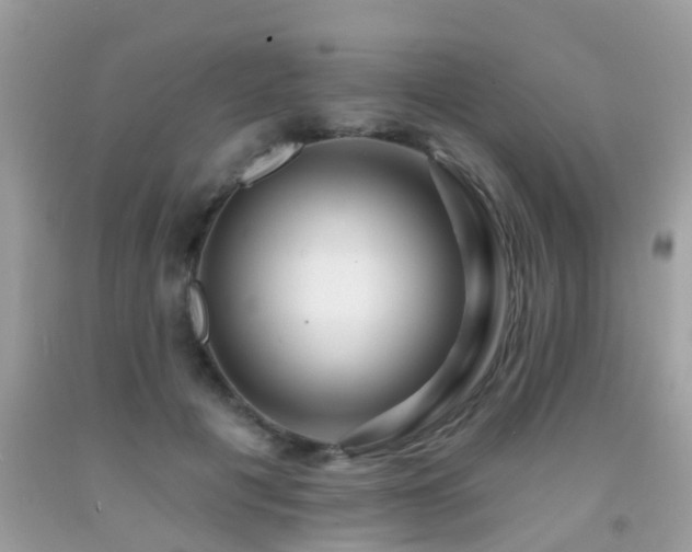 X0000091930601200709051503