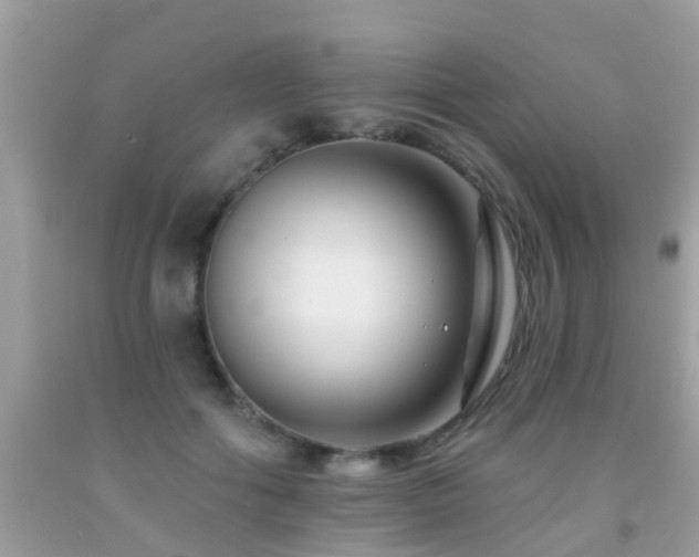 X0000091930602200709051503