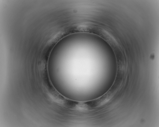 X0000091930603200709051503